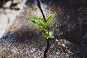 Adaptare la schimbările profesionale